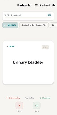 Flashcard showing an anatomy term